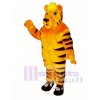 Cute Tiger with Sneakers Mascot Costume