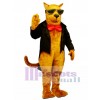 Cute Strayed Cat Mascot Costume