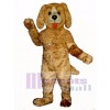 Cute Shaggy Dog Mascot Costume