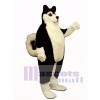 Cute Fat Husky Dog Mascot Costume