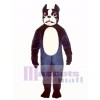 Cute Boston Terrier Dog Mascot Costume