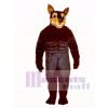 Cute Doberman Dog Mascot Costume