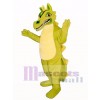 Green Oriental Dragon Mascot Costume