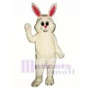 Easter Fat Bunny Rabbit Overalls Mascot Costume