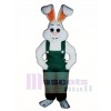 Easter Bunny Rabbit Boy Mascot Costume