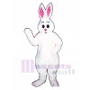 Cute Easter Bunny Rabbit Hugs Mascot Costume