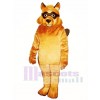 Bandit Mascot Costume