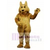 Cute Kyle Koyote Coyote Wolf Mascot Costume