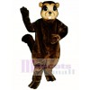 Susie Squirrel Mascot Costume