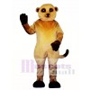 Meerkat Mascot Costume