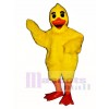 Cute Duck Mascot Costume