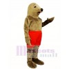 Cute Sunning Seal with Shorts Mascot Costume