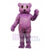 New Purple Bear Mascot Costume