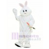 Ostern März Hase Kaninchen Maskottchen Kostüm