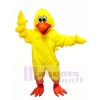Cute Clucking Chicken Mascot Costume