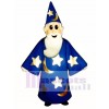 Wizard Mascot Costume