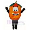 Pumpkin Mascot Costume