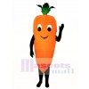 Carrot Mascot Costume