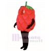 Fresh Raspberry Mascot Costume