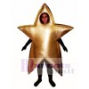 Gold Star Mascot Costume