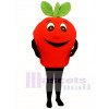 Big Apple Mascot Costume