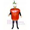 Apple Mascot Costume