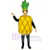 Pineapple Mascot Costume