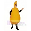 Squash Mascot Costume