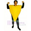 Big Cheese Mascot Costume