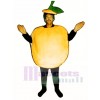 Peach Mascot Costume Fruit