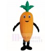 Carrot Mascot Costumes Vegetable Plant