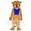 Cougar Mascot Costumes with Blue Muscle Animal 