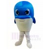 Dolphin Mascot Costumes Ocean 