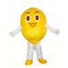 Smiling Lemon Mascot Costumes Fruit 