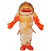 Orange Fish Mascot Costumes Aquatic Ocean Aquarium