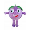 Purple Grapes Mascot Costumes Fruit Plant