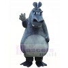 Hippo Mascot Costumes Animal 