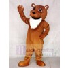 Colby Cougar Mascot Costumes Animal