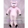 Cute Porker Pig Piglet Hog Mascot Costumes Animal