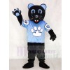 Sir Purr of the Carolina Panthers Mascot Costume from National Football League