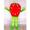 Red Strawberry Mascot Costumes Fruit