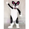 Black and White Husky Dog Mascot Costumes Animal