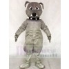 Grey Bulldog Mascot Costumes Animal 