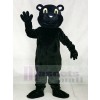 Patrick Black Panther Mascot Costumes Animal