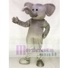Grey Elephant Gray Elephant Mascot Costumes