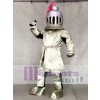 Adult Knight in Pink Armour Mascot Costumes People