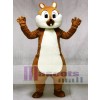 Cute Squirrel Mascot Costumes Forest Animal