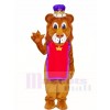 King Lion Mascot Costumes Animal 