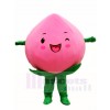 Pink Peach Mascot Costumes Fruit Food
