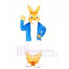 Peter Rabbit Easter Bunny Mascot Costumes Cartoon